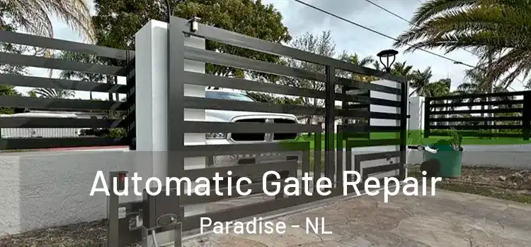  Automatic Gate Repair Paradise - NL