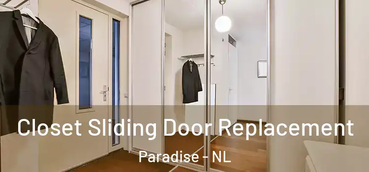 Closet Sliding Door Replacement Paradise - NL