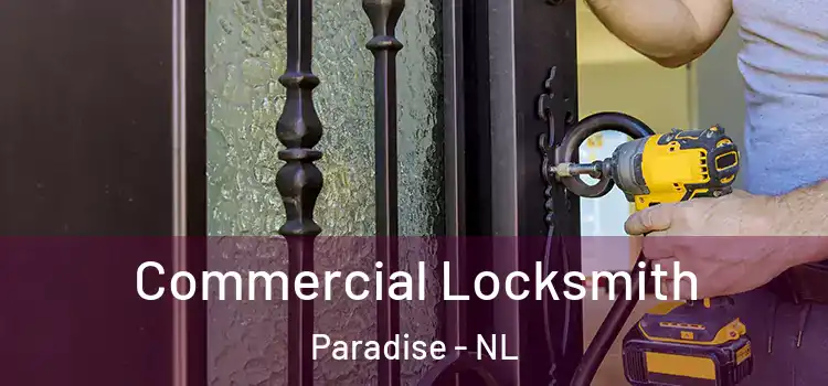  Commercial Locksmith Paradise - NL