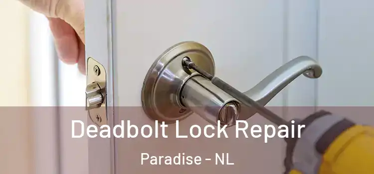 Deadbolt Lock Repair Paradise - NL