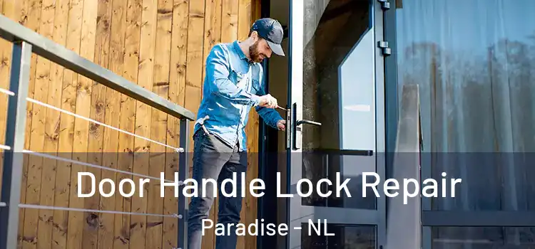  Door Handle Lock Repair Paradise - NL