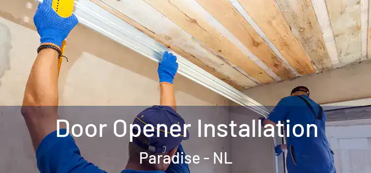 Door Opener Installation Paradise - NL