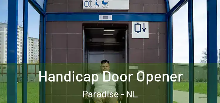  Handicap Door Opener Paradise - NL