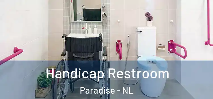 Handicap Restroom Paradise - NL