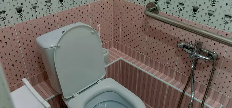 Meeting Diverse Needs With Accessible Restroom Solutions in Paradise, NL