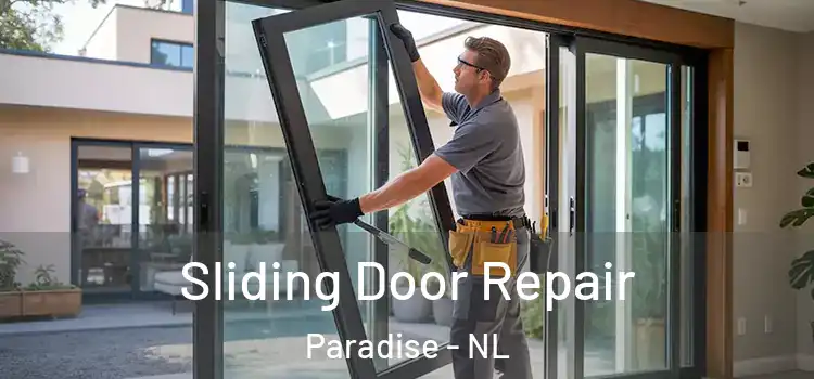  Sliding Door Repair Paradise - NL