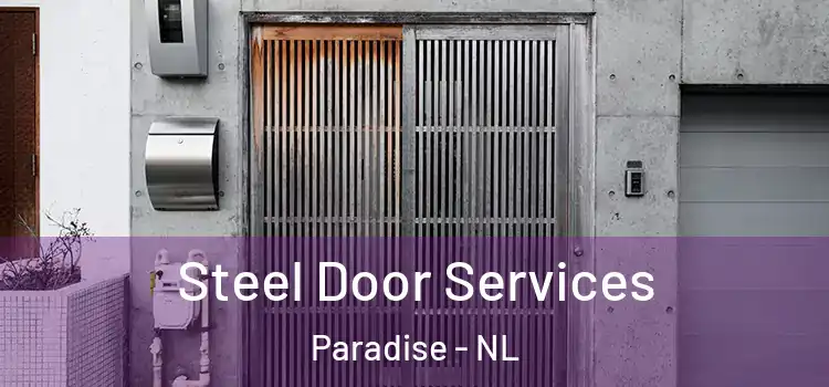  Steel Door Services Paradise - NL